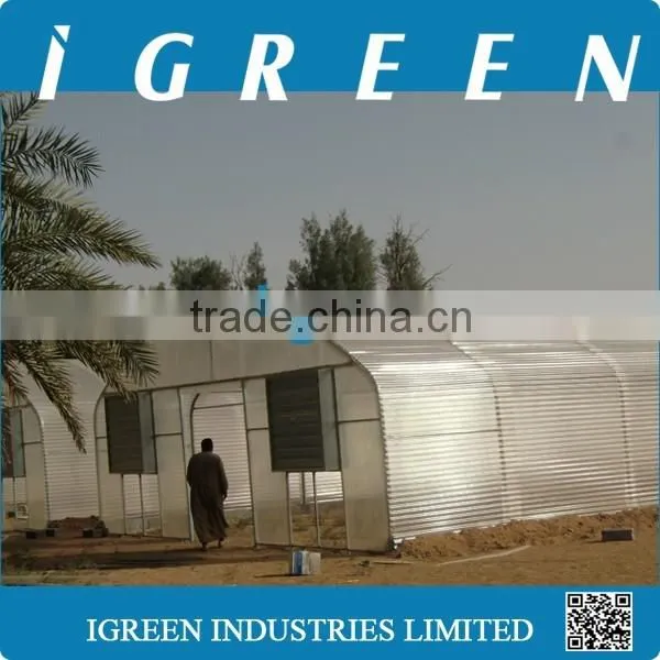 Single Tunnel Polycarbonate Sheet Vegetable Greenhouse From CHINA