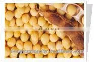 Soybean P.E Extarct Powder photo-3