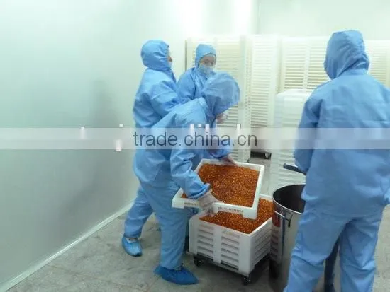 Factory Provide Seabuckthorn Fruit Oil photo-5