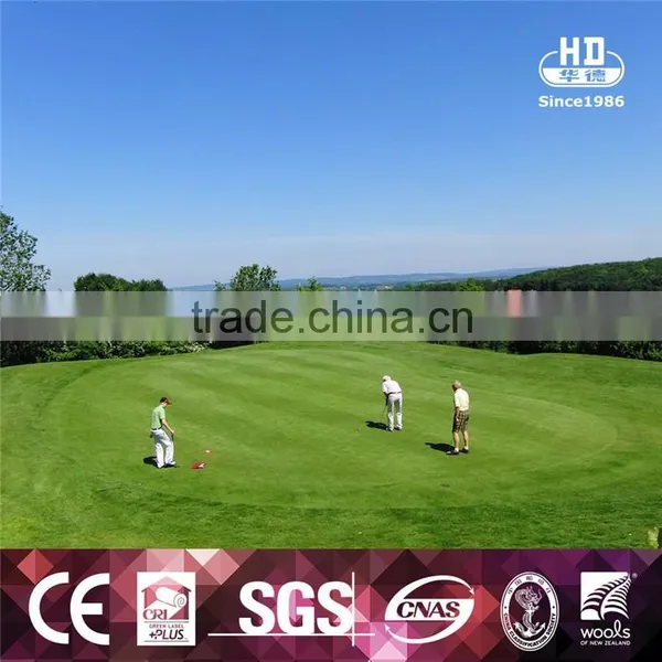 China Factory Sale Various PE Customized Size Football Artificial Grass photo-5