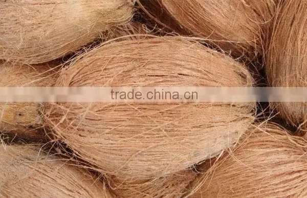 Dry Semi Husked Coconut photo-3