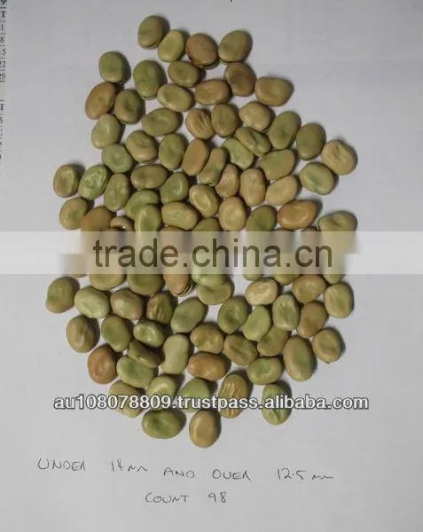 Broad Beans