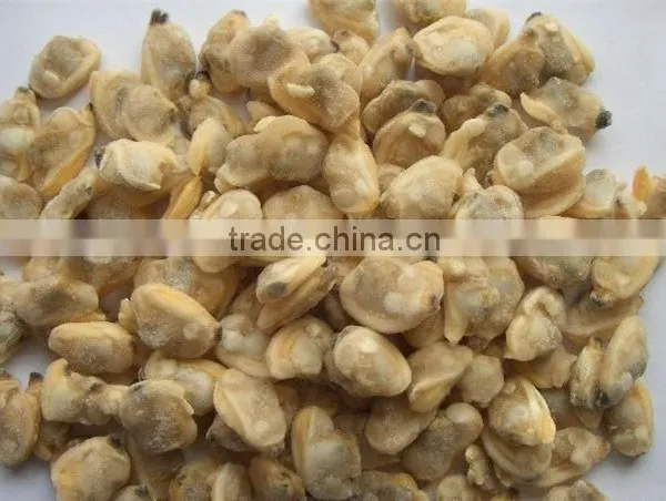 IQF Frozen Clam Meat Frozen Clam