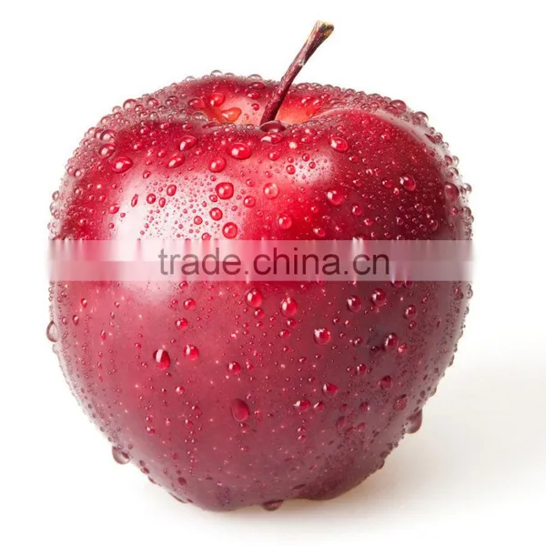 2016 Fresh Red Star Apples With High Quality for Sale Chinese Fresh Red Star Apples Factory