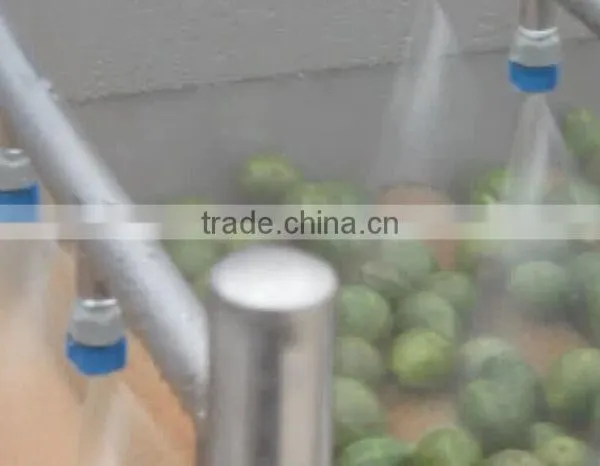 Full Automatic Industrial Spray Vegetable And Fruit Washer Washing Machine photo-5