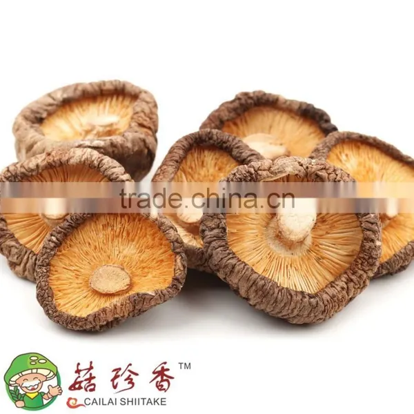 Factory Direct Sale Export Mushroom Price Dried Shitake photo-3