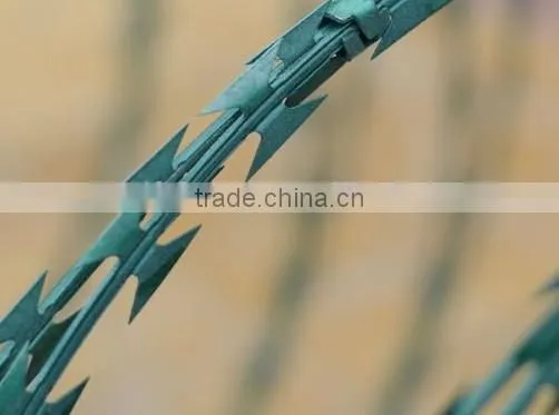 Wholesale BTO-22 Powder Coated Razor Barbed Wire photo-3