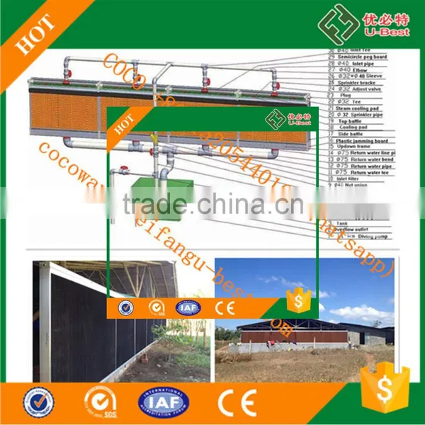 Best Selling Products in Philippines Automatic Chicken Feeding Equipment/Lubing Nipple Cup Drinker/Tunnel Ventilation Fan photo-4