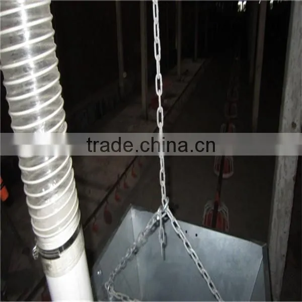 Automatic Broiler Chicken Farming Equipment photo-5