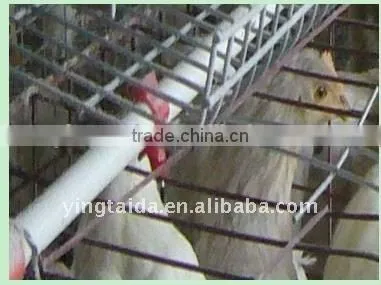 Most Popular Design Full Automatic Layer Chicken Cage for Sale photo-6