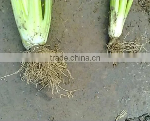 Professional Manufacturer Cheaper 99% Agriculture Grade Magnesium Sulfate Heptahydrate Fertilizer Epsom Salt photo-4