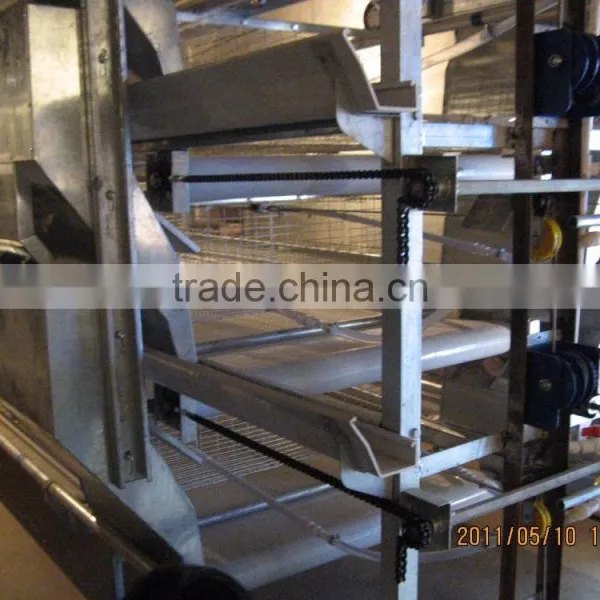 H Type 56 Chickens Broiler Chicken Cage Sale for Tanzania photo-2