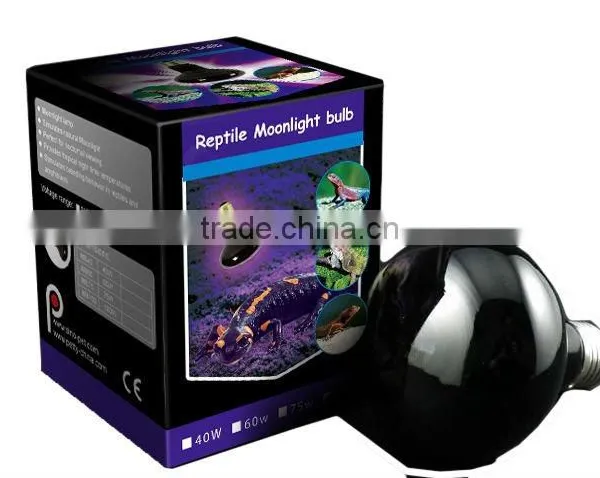 Reptile Light photo-3