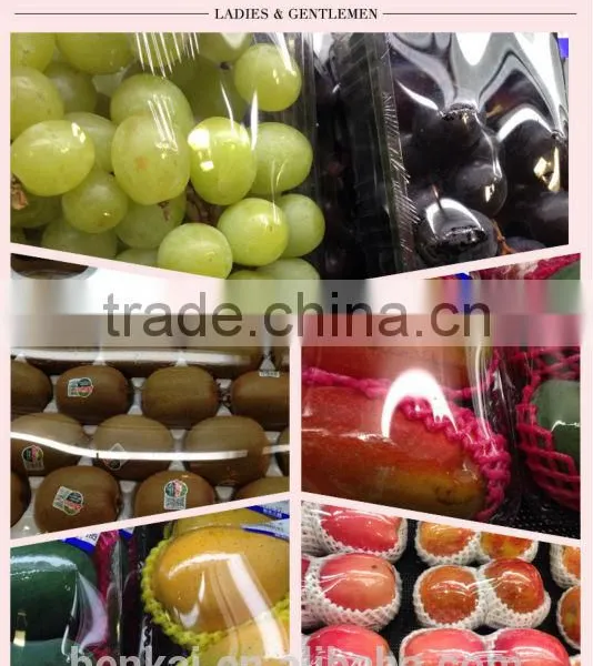 Perforated Cling Film photo-2
