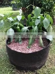 Outdoor Plant Bags Smart Pot Non Woven Plant Bag (1 Gal to 1200 Gal) photo-2