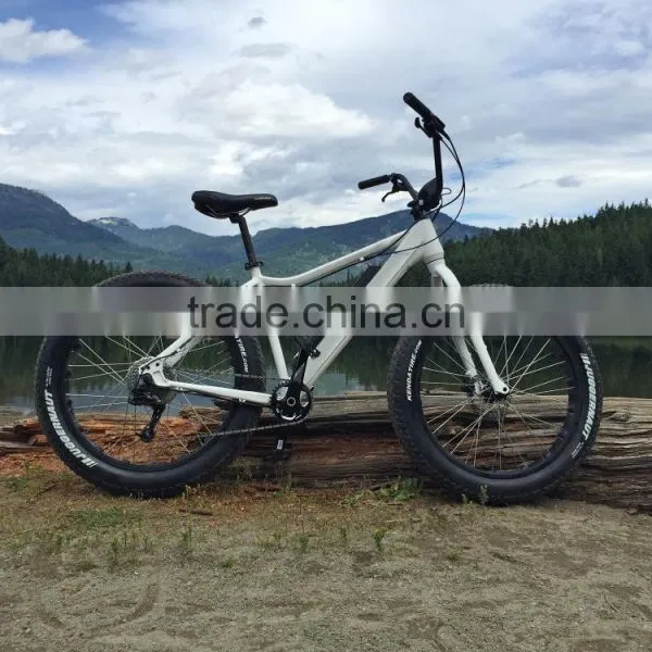Hot Selling 26 Inch Electric Bike ATV Electric Snow Bike Fat Tire Electric Bike photo-5