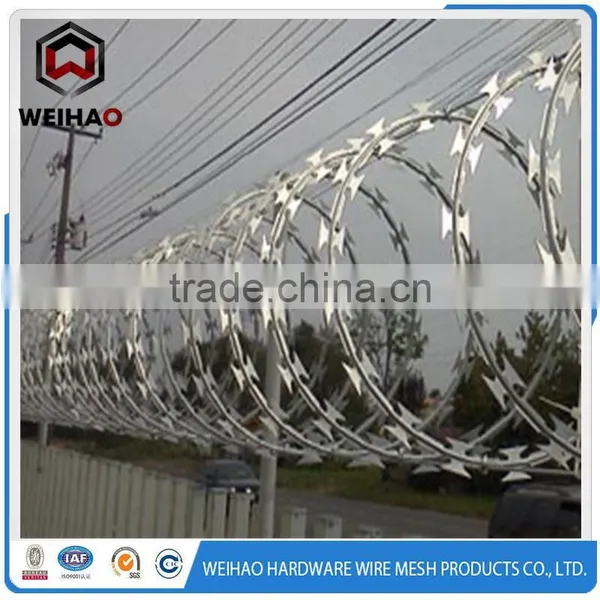 Hot Selling Razor Barbed Wire With High Quality and Moderate Price photo-4