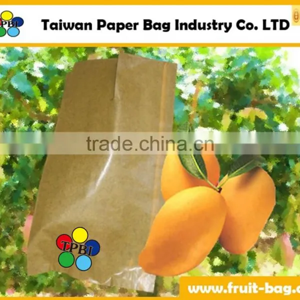 TPBI Double Protection Kraft Paper Bag for Mango