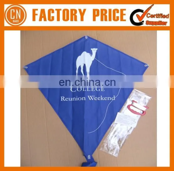 Cheap Diamond Promotional Kite photo-4