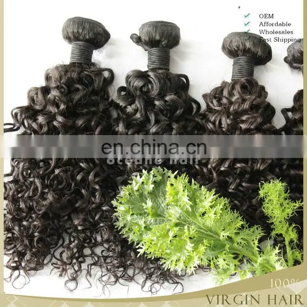 Virgin Brazilian Curly Hair Tight Curly Hair Hair Extension Kinky Curly