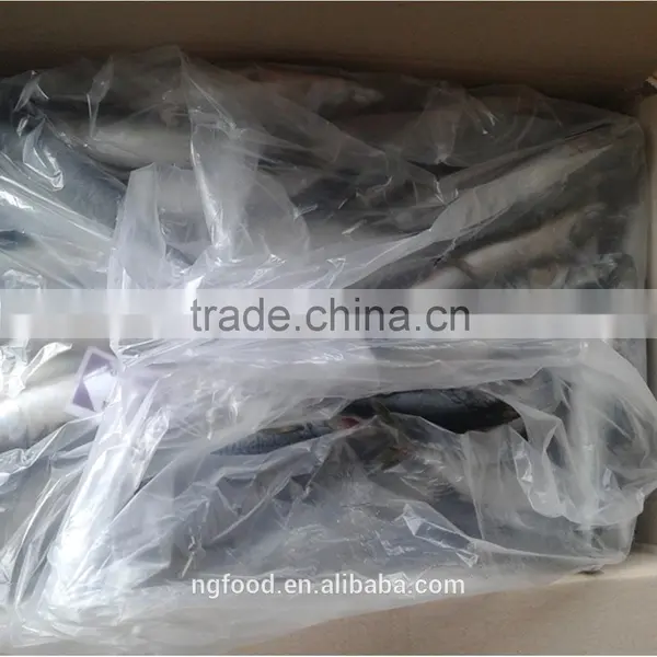 Frozen Chub Mackerel and Pacific Mackerel Scomber Japonicus photo-3