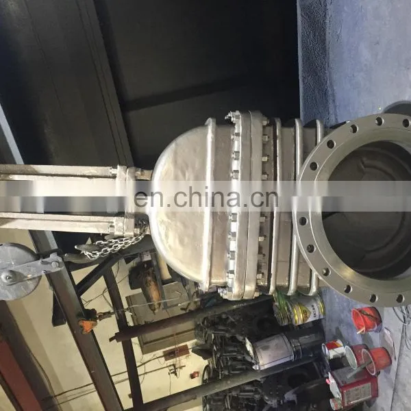 API600 GATE VALVE 24inch 150lb Carbon Steel Body Trim No.1 photo-3