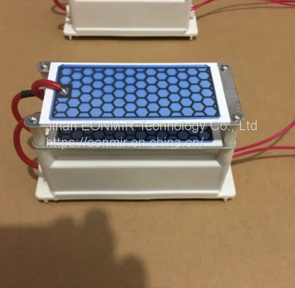 220V 10g/H Ozone Generator Used for Killing Virus photo-4