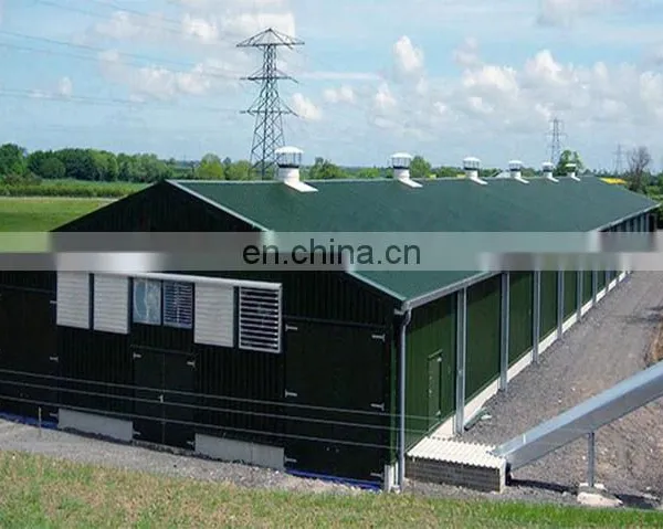 High Strength Multi-span Chicken House Steel Structure Chicken Farm Poultry House photo-5