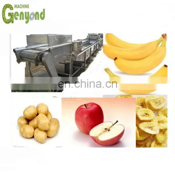Potato Blanching Machine photo-2