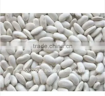 High Quality Delicious Healthy White Kidney Beans