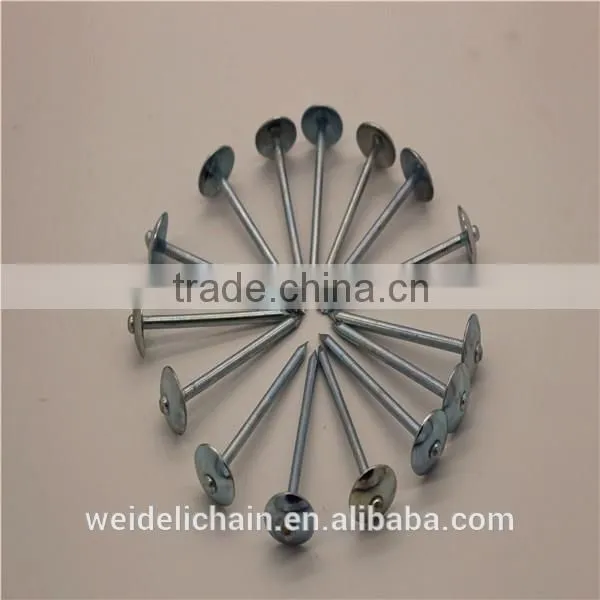 Competitive Price BWG10X2.5" Roofing Nails photo-6