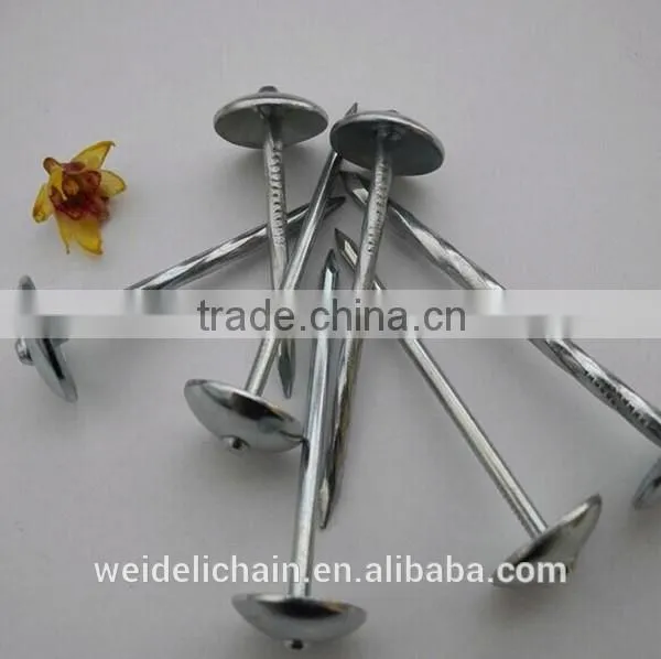 3''x9bwg Twisted Shank Roofing Nails/umbrella Roofing Nails photo-6