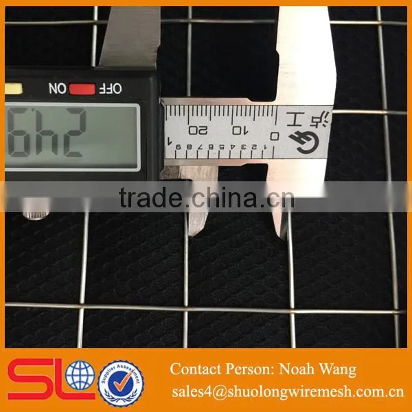 Shuolong Good Price High Quality 2x2 Galvanized Welded Wire Mesh for Fence Panel photo-3
