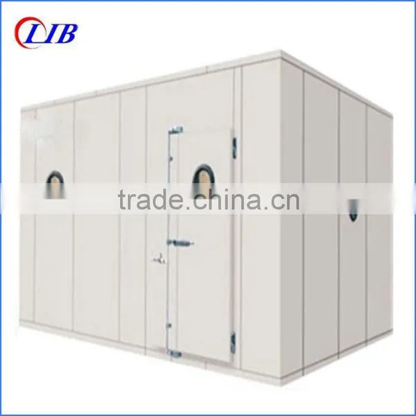 Industrial Refrigerator photo-5