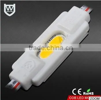COB LED Type and InGaN Material ce Rohs Led Module Warranty 3 Years Cob Power Led Module Rgb for Advertising Channel Letter photo-2