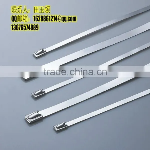 Supply Stainless Steel Lock Steel Ball Ties (material:304-201-316 ) 4.6*200 photo-2