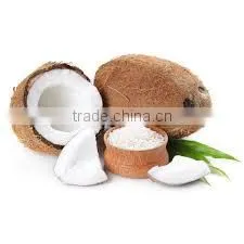Vietnam High Fat Medium Desiccated Coconut photo-3