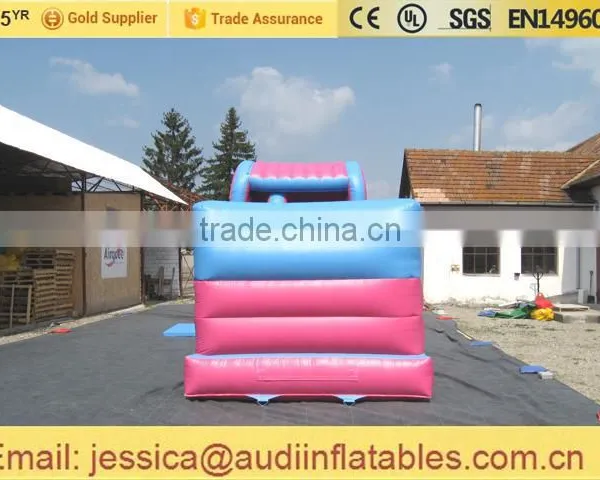 Inflatable Dolphin Slide Small for Sale photo-3