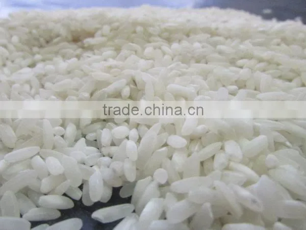 Fresh IR 8 Short Grain Rice photo-4