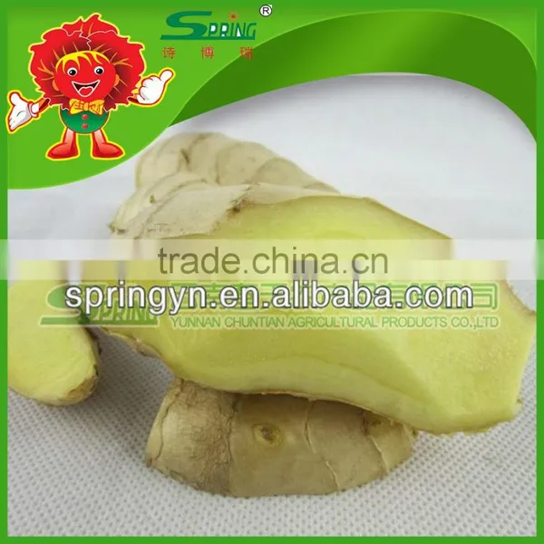 Supply FRESH GINGER Chinese Fresh Ginger