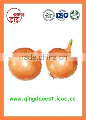Fresh New Crop Yellow Onion PRODUCTS From China photo-3
