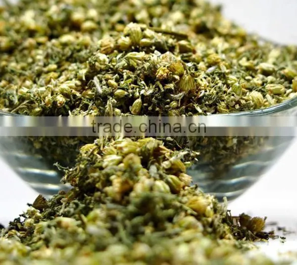 Organic Chamomile photo-3