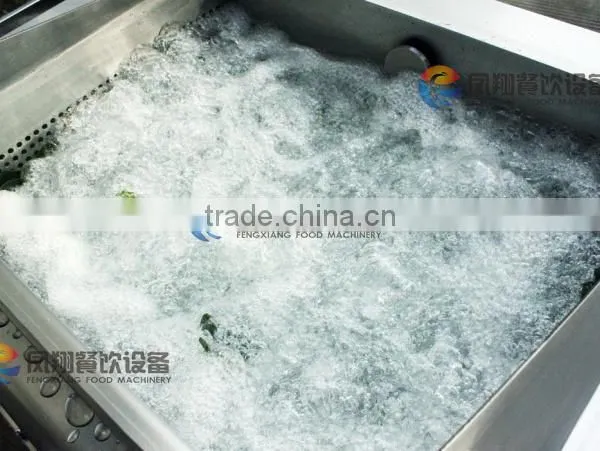 Commercial Automatic One Tank Small Vegetable and Fruit Washer photo-4