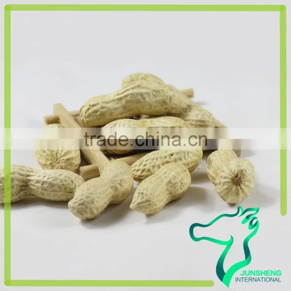 Raw Chinese Peanut Factory Supply photo-4