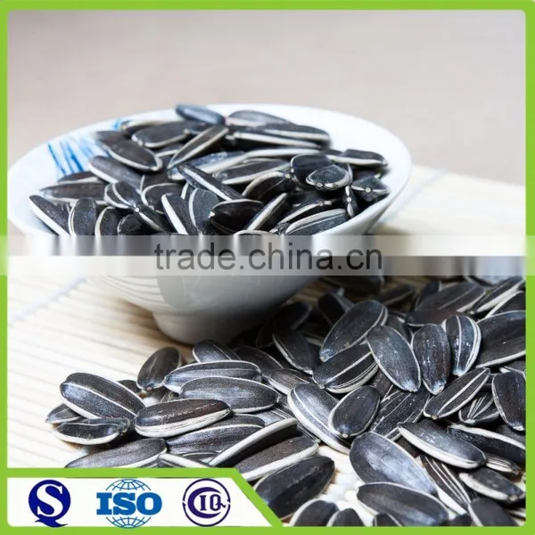 Wholesale Good Quality Price of Sunflower Seeds