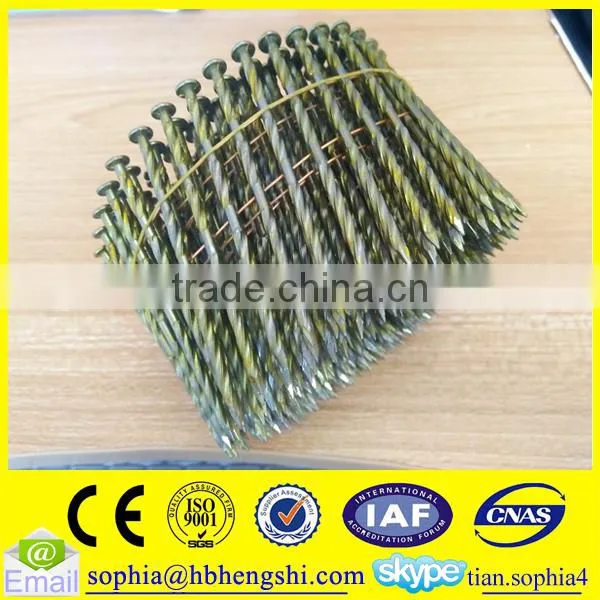 Wire Coil Nails photo-2