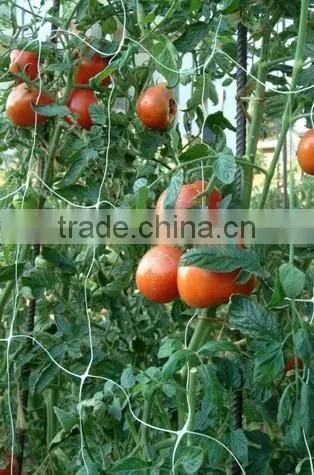 Plant Support Net for Garden photo-6