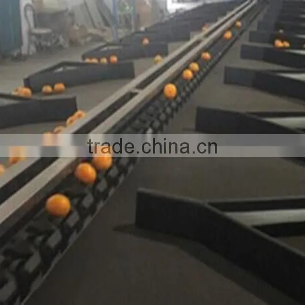 Lemon Fruit Sorting Washing Machine photo-5