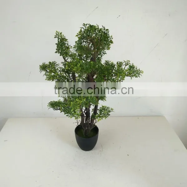 Small Bonsai Tree Wholesale photo-3