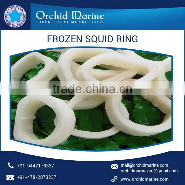 Rich Aroma Dried Squid Rings With No Added Chemicals or Preservatives photo-3